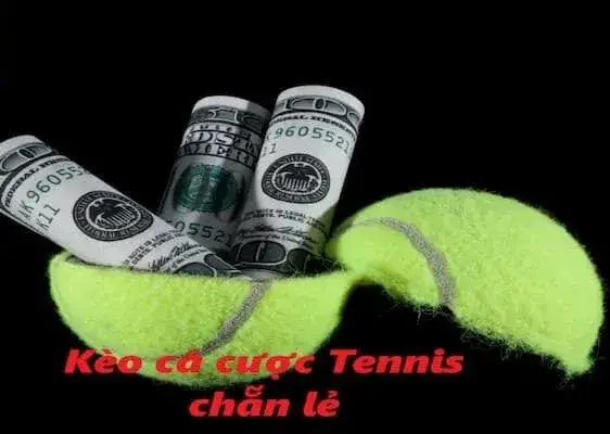 Cá cược tennis nhà cái C54 - Khám Phá Thế Giới Đầy Kịch Tính