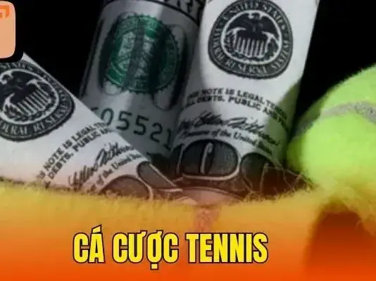 Cá cược tennis nhà cái C54 - Khám Phá Thế Giới Đầy Kịch Tính