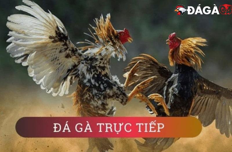 da ga c2 nha cai c54 681b7821a3733