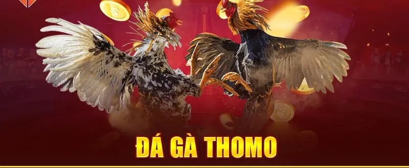 da ga thomo nha cai c54 681b793450165