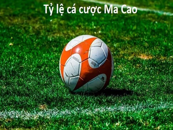 Tỷ lệ kèo macao nhà cái C54 - Khám Phá Thế Giới Cá Cược Đầy Hấp Dẫn