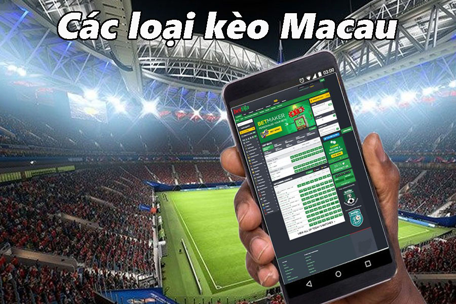 Tỷ lệ kèo macao nhà cái C54 - Khám Phá Thế Giới Cá Cược Đầy Hấp Dẫn