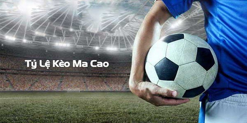 Tỷ lệ kèo macao nhà cái C54 - Khám Phá Thế Giới Cá Cược Đầy Hấp Dẫn