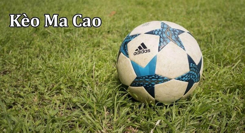 Tỷ lệ kèo macao nhà cái C54 - Khám Phá Thế Giới Cá Cược Đầy Hấp Dẫn