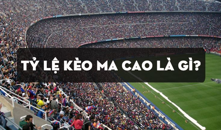 Tỷ lệ kèo macao nhà cái C54 - Khám Phá Thế Giới Cá Cược Đầy Hấp Dẫn
